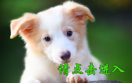 叮当