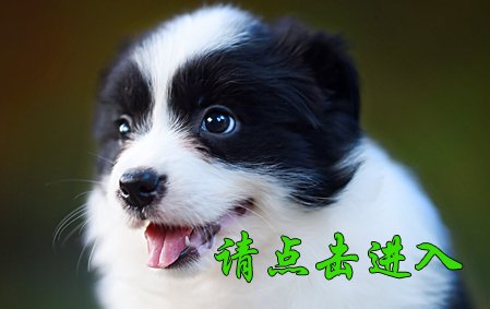 安吉拉