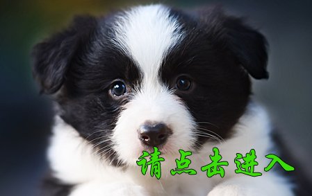 安吉拉