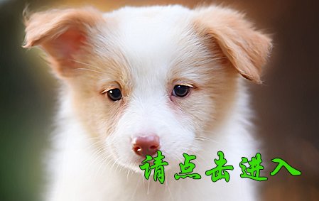 米娅