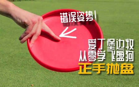 爱丁堡边牧飞盘狗训练教程：正手盘