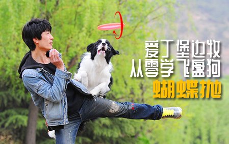 爱丁堡边牧飞盘狗训练教程：蝴蝶抛