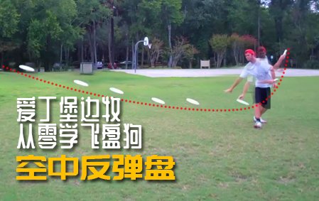 爱丁堡边牧飞盘狗训练教程： 空中反弹盘
