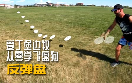 爱丁堡边牧飞盘狗训练教程：反弹盘