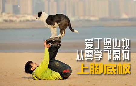 爱丁堡边牧飞盘狗训练教程：上脚底板