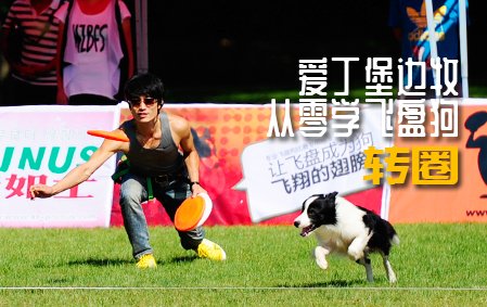 爱丁堡边牧飞盘狗训练教程：转圈