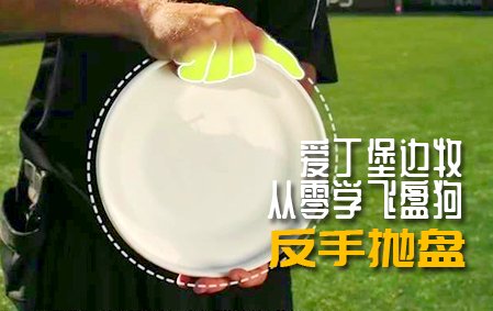 爱丁堡边牧飞盘狗训练教程：如何扔飞盘/反手抛盘