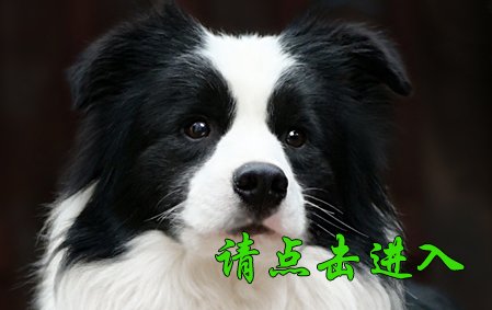 沫沫 公F2