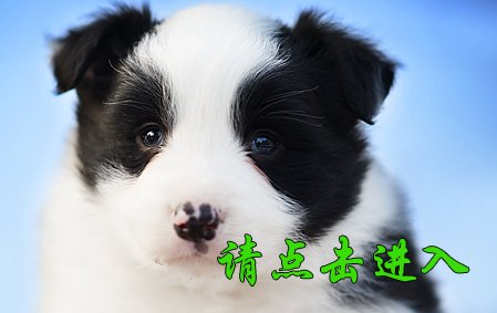 感谢山西吴先生第二次结缘 卡罗琳 公F1