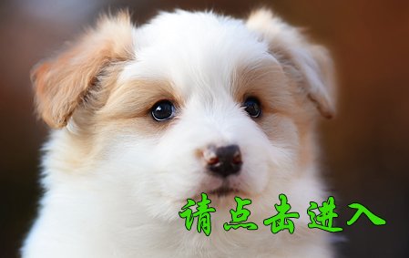 卡罗琳 公F5