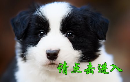 卡罗琳
