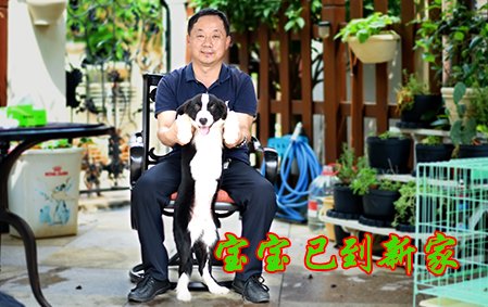 感谢青岛唐先生已结缘可乐 2021年