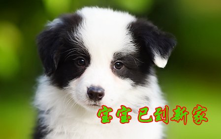 感谢临沂刘先生已结缘Jack 2021年