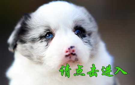 感谢广州周小姐已结缘 如意
