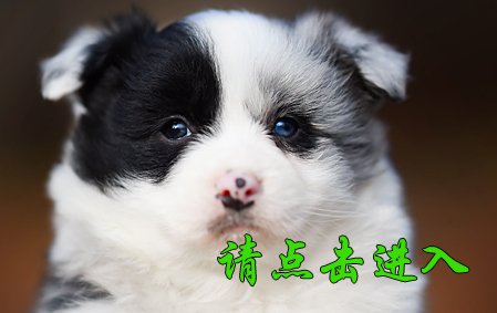 感谢广州周小姐已结缘 如意