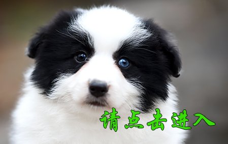 沫沫