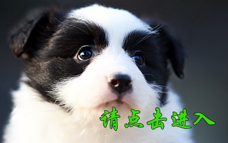 甜甜