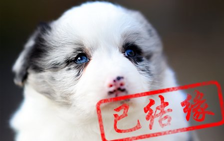 感谢广州周小姐已结缘 如意