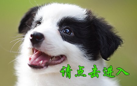 娜莎