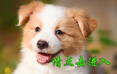 感谢杭州齐女士已结缘 米迦勒