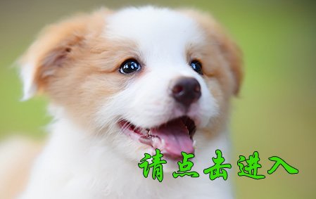 娜莎