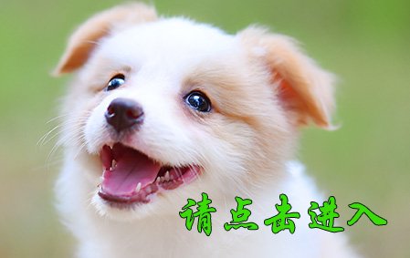 感谢淄博王女士已结缘 娜莎 公E6