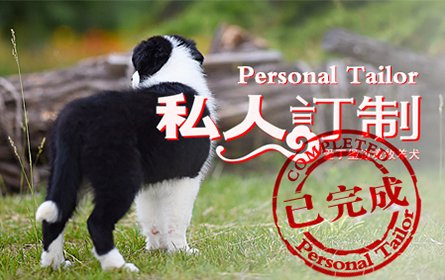 感谢深圳宋先生个性定制