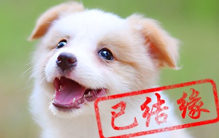 感谢淄博王女士已结缘 娜莎 公E6