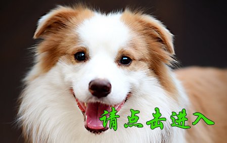 麦考 公F2