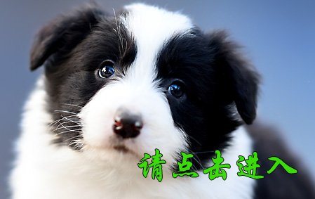 沫沫