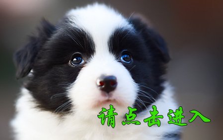 感谢山西王先生已结缘 薇薇 母G2