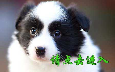 沫沫