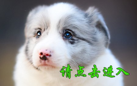 薇薇