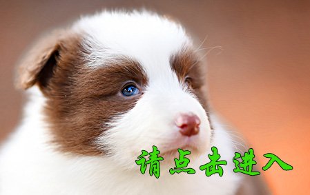 米娅