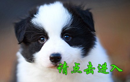 珞珞 公F2