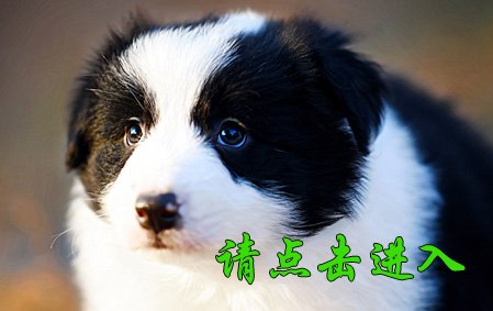 珞珞
