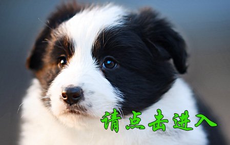 珞珞