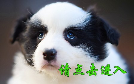 伊琳 母G2