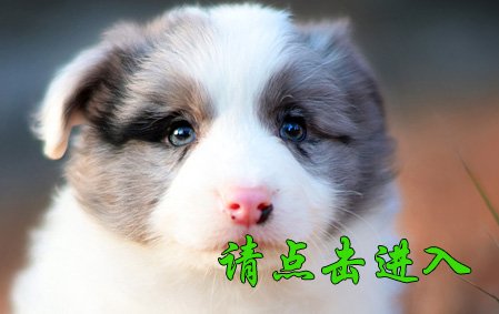 伊琳 公G3