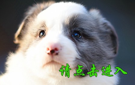 伊琳