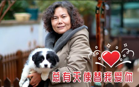 恭喜南京朱女士已结缘 叮叮 公C3