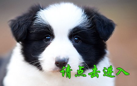 娜莎