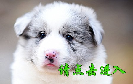 娜莎