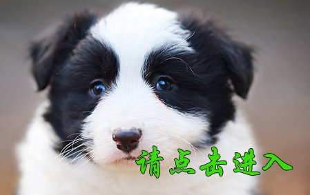 娜莎
