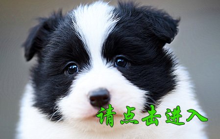 娜莎