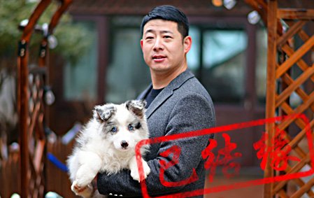 感谢常熟金先生第四次选择 叮叮 公C1