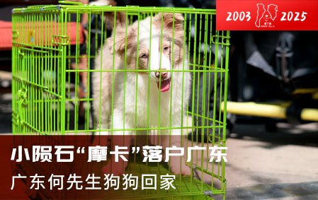小陨石“摩卡”落户广东（广东何先生）2025-4-17