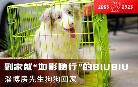 到家就“如影随形”的BIUBIU（淄博房先生）2025-4-18