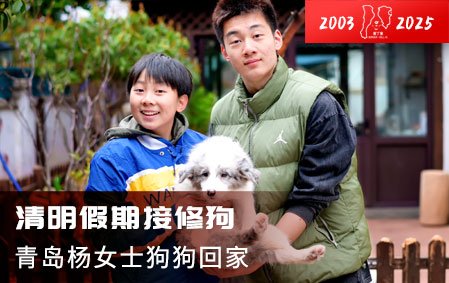 清明假期接修狗（青岛杨女士）2025-4-6