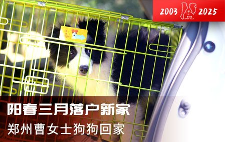 阳春三月落户新家（郑州曹女士）2025-4-7